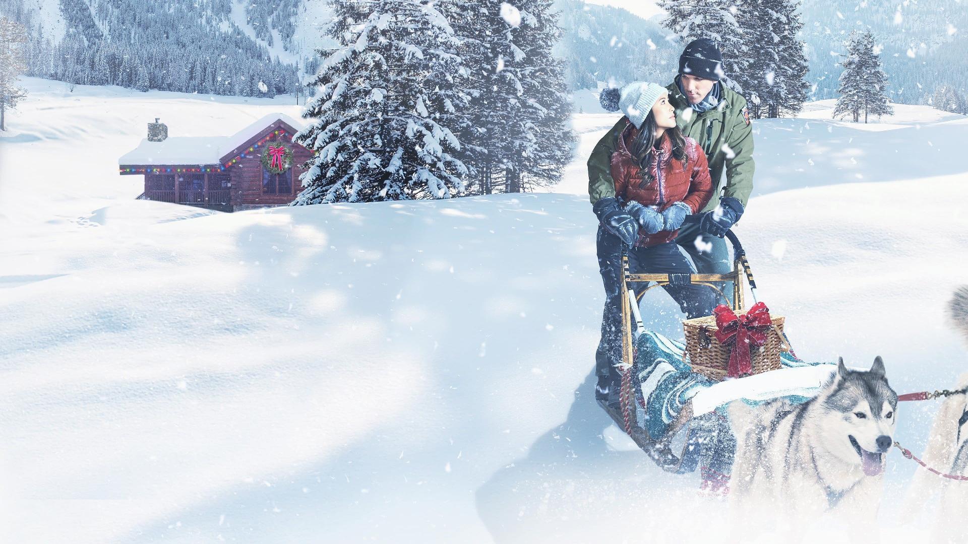 შობა უდაბურ ადგილას / Christmas in the Wilds