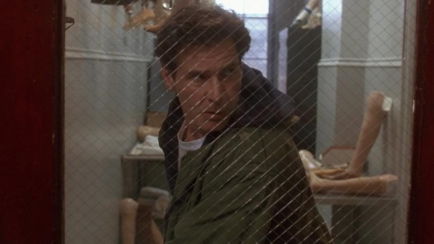 გაქცეული / The Fugitive