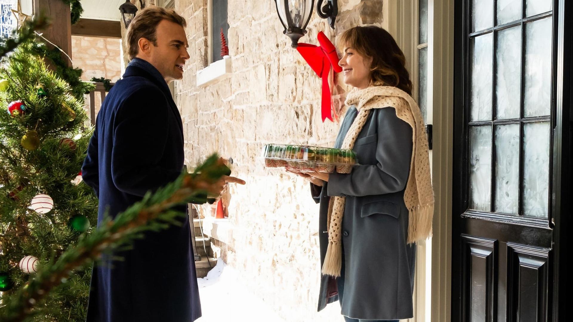 ჯადოსნური საშობაო ტორტი / The Enchanted Christmas Cake