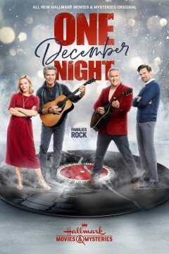 დეკემბრის ერთი  ღამე / One December Night