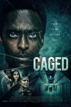 პატიმარი / Caged