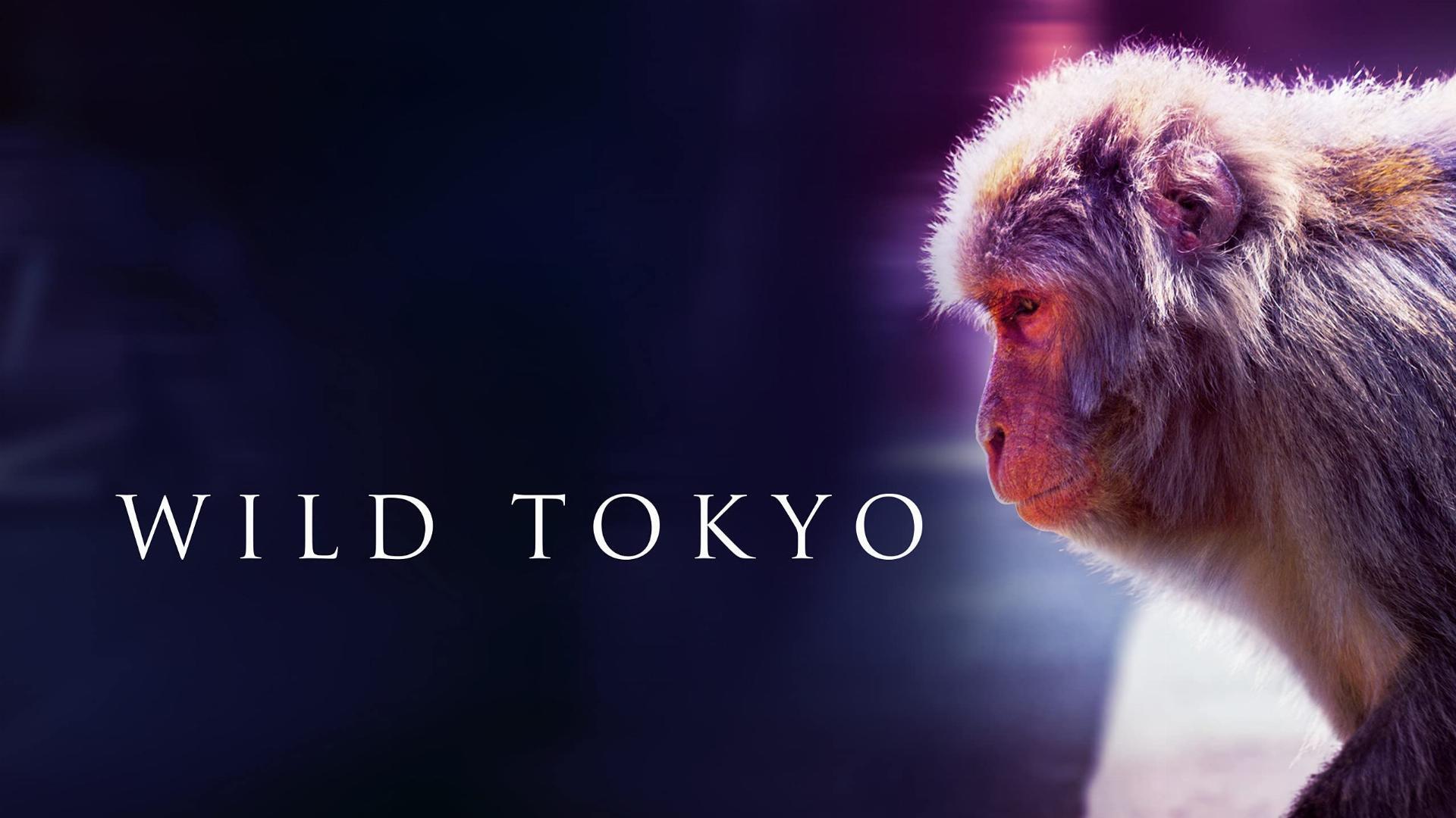 ველური ტოკიო / Wild Tokyo