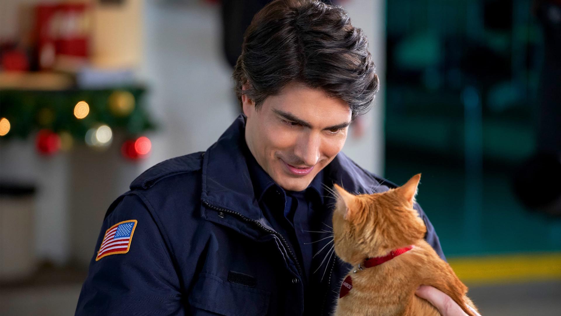ცხრა საშობაო კნუტი / The Nine Kittens of Christmas