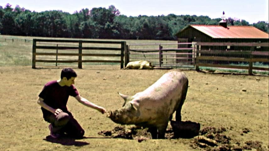 ცხოველებთან მოპყრობა / Speciesism: The Movie