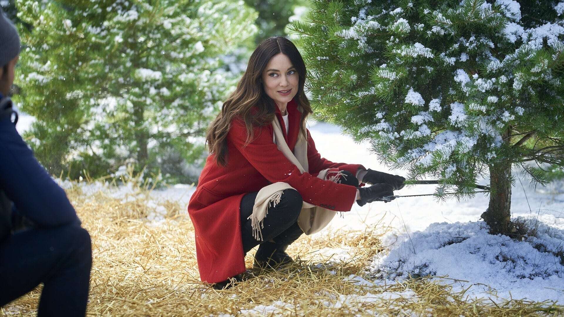 შობის მეთორმეტე დღეს / On the 12th Date of Christmas