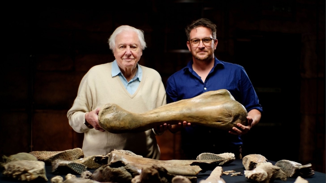 ატენბორო და მამონტების სასაფლაო / Attenborough and the Mammoth Graveyard