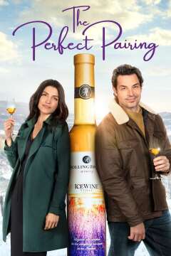 იდეალური შეწყვილება / The Perfect Pairing