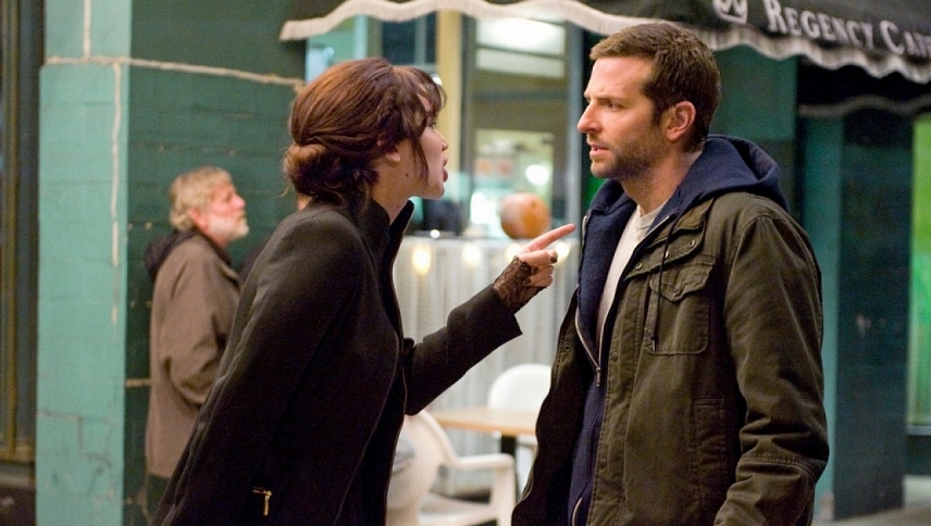 იმედის სხივთა კრებული / Silver Linings Playbook