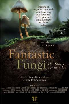 ფანტასტიური სოკო / Fantastic Fungi