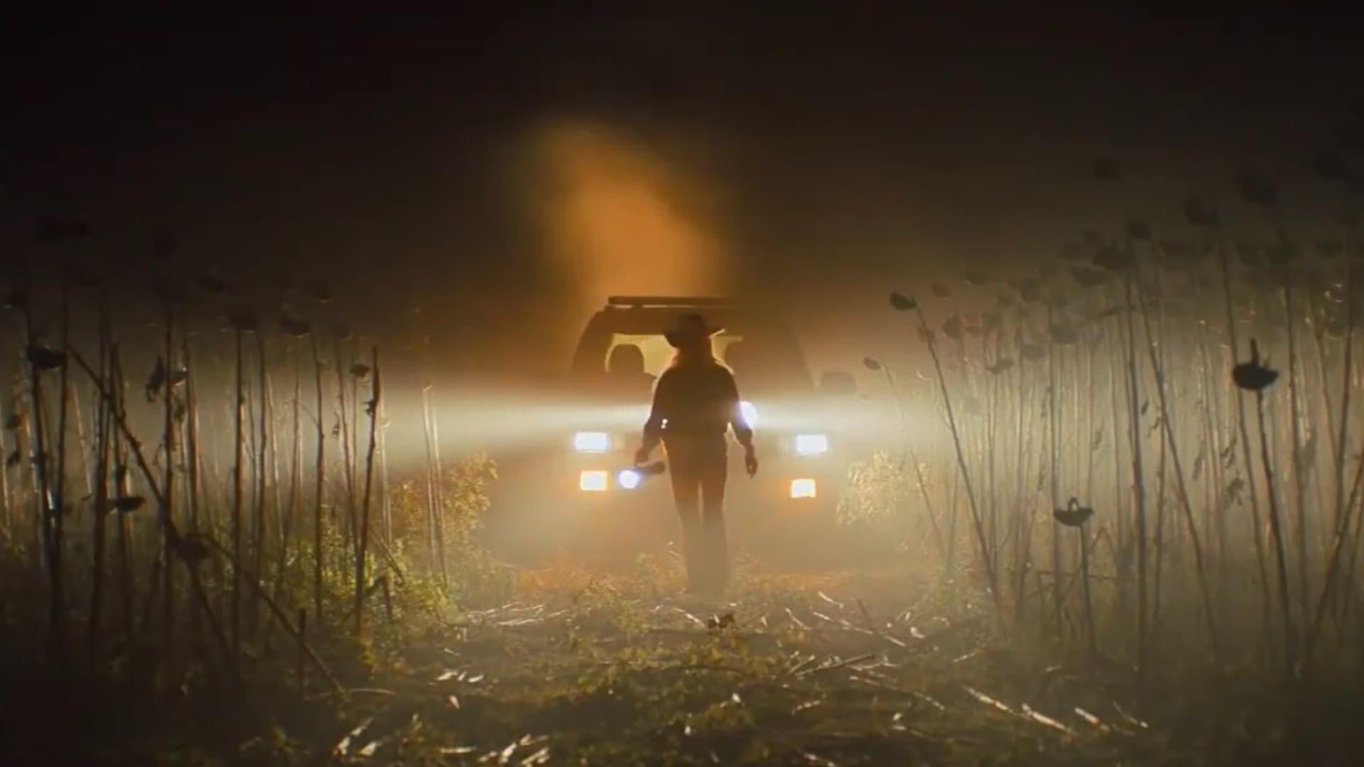 ტეხასური ჟლეტა ხერხით / Texas Chainsaw Massacre