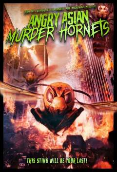 გაბრაზებული აზიური მკვლელები / Angry Asian Murder Hornets