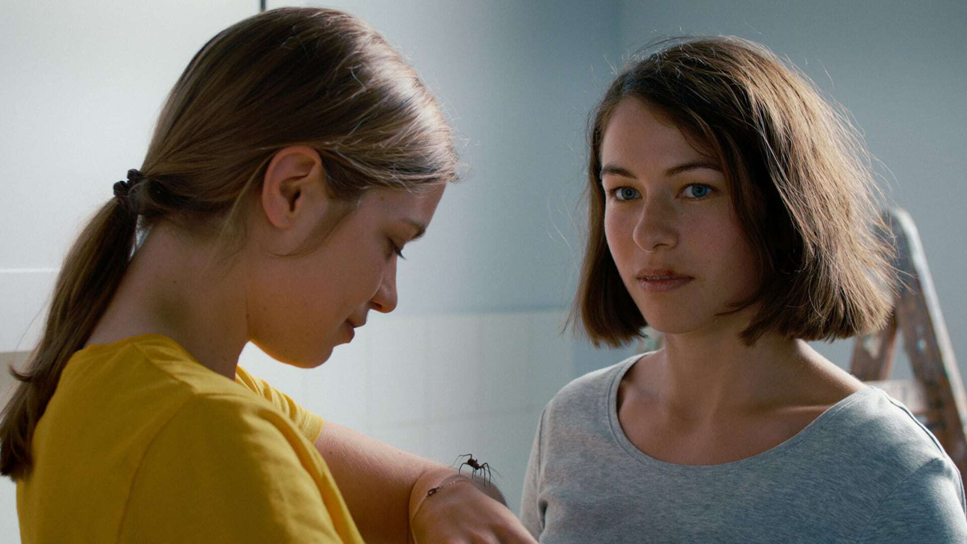 The Girl and the Spider / Девушка и паук