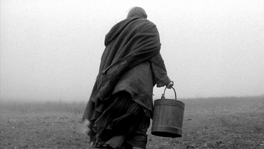 ტურინის ცხენი / The Turin Horse