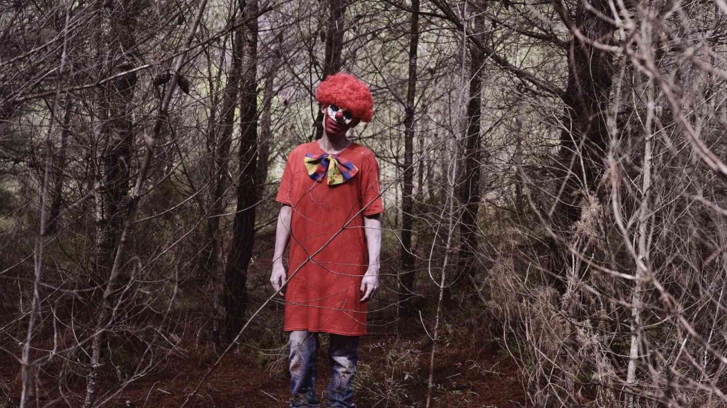 კლოუნები ტყეში / Clowns in the Woods