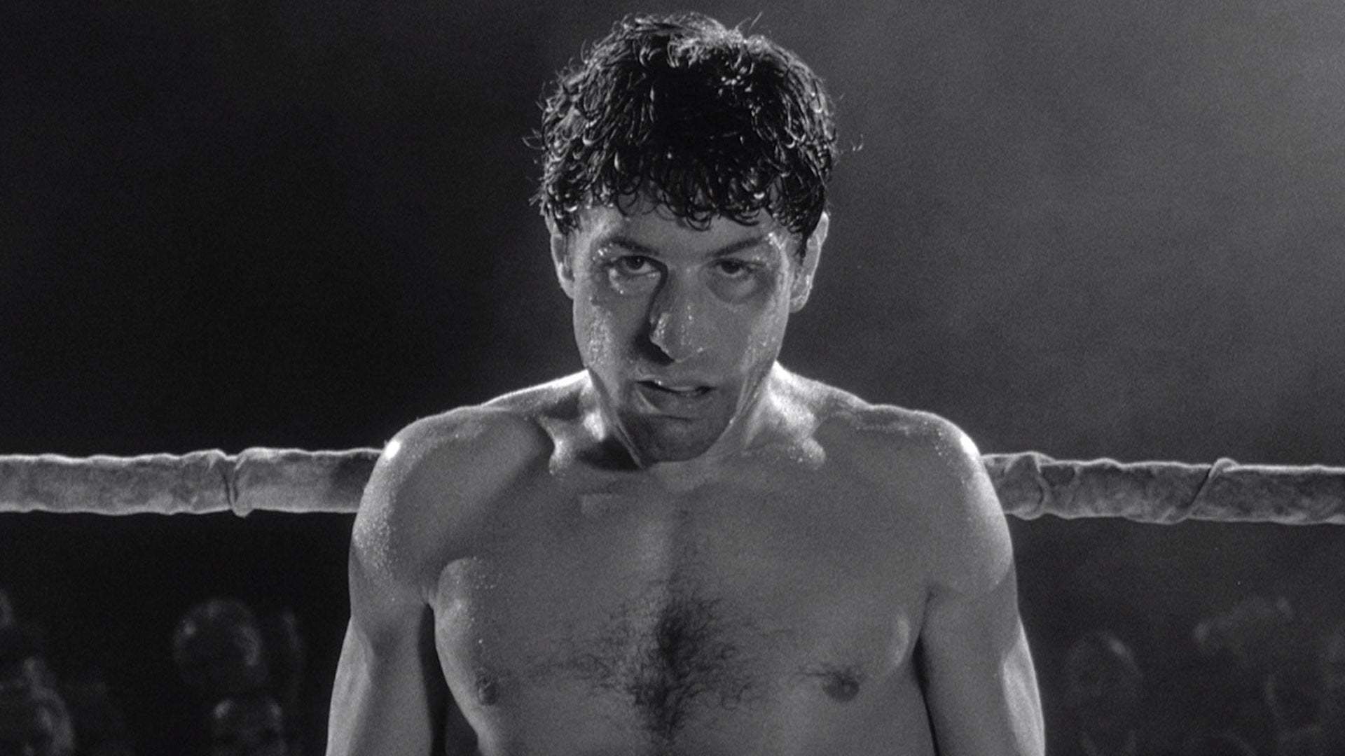 ცოფიანი ხარი / Raging Bull