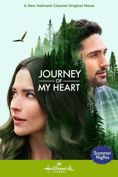 სიყვარული არწივთა ფრთებზე / Journey of My Heart