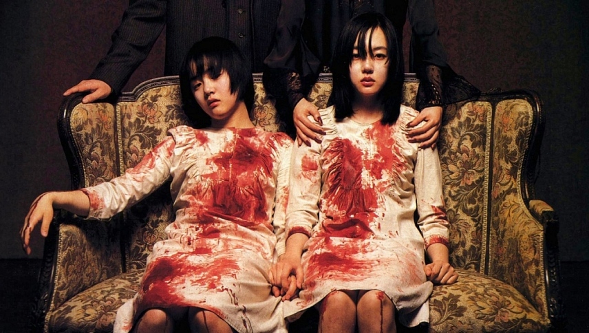 ორი დის ამბავი / A Tale of Two Sisters