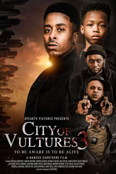 ვულტურების ქალაქი 3 / City of Vultures 3