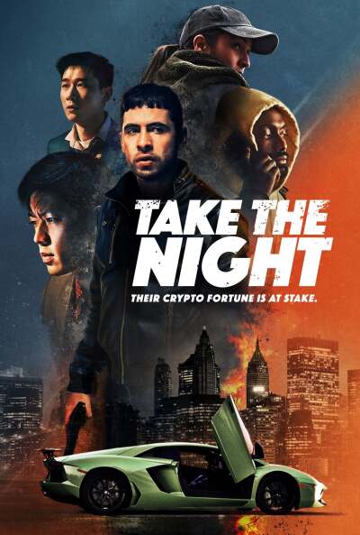 ცრუ გატაცება / Take the Night