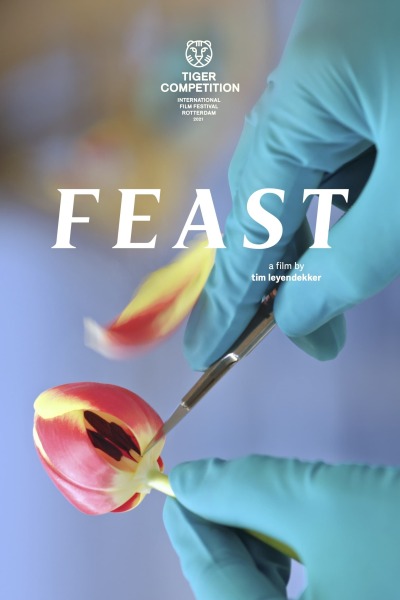 დღესასწაული / Feast