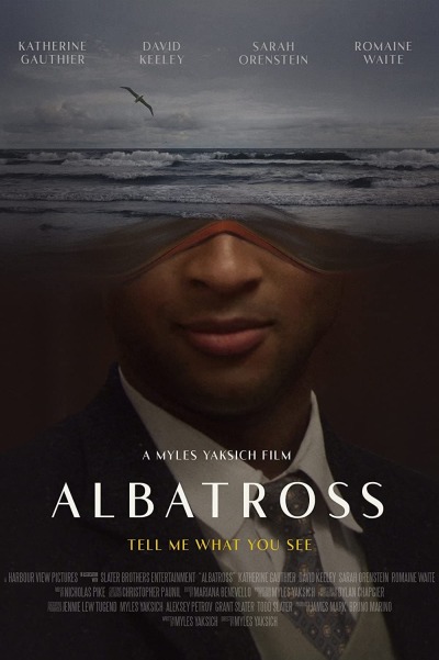 ალბატროსი / Albatross