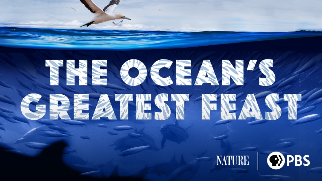 The Ocean's Greatest Feast