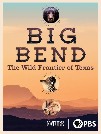 Big Bend: The Wild Frontier of Texas