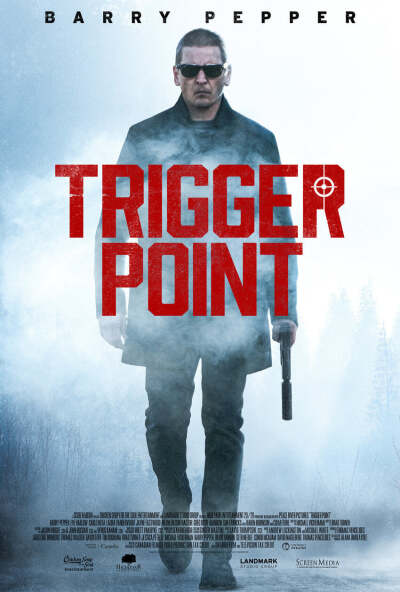გამომწვევი მიზეზი / Trigger Point