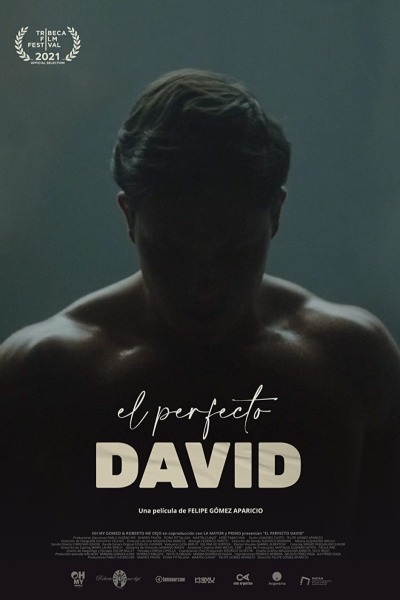 The Perfect David