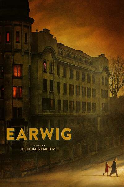 ყურბელა / Earwig