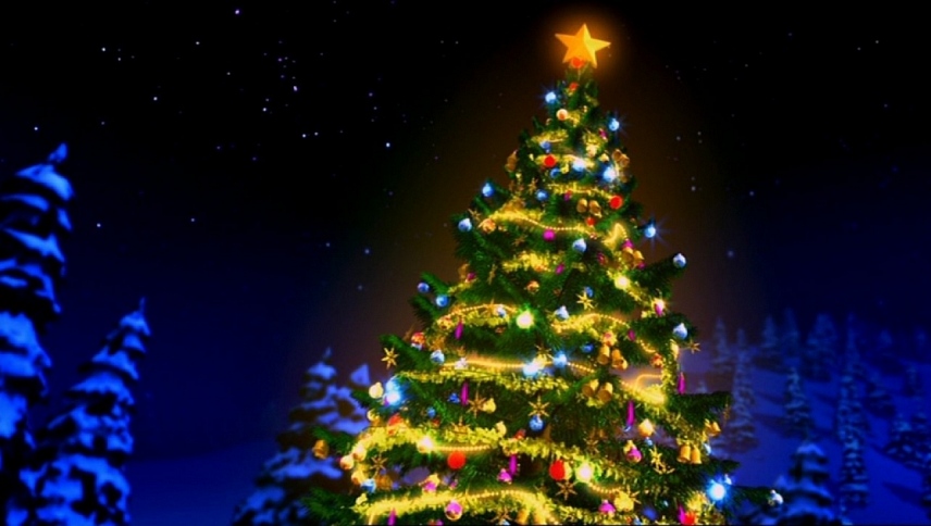 ბარბის იდეალური შობა / Barbie: A Perfect Christmas