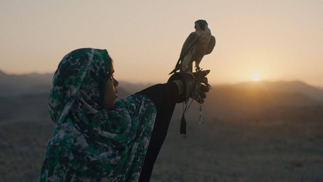 The Falconer