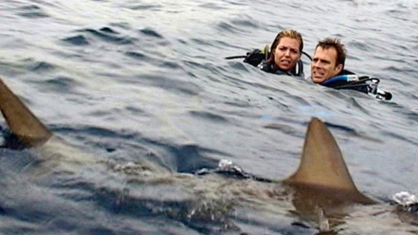 ღია ზღვა / Open Water