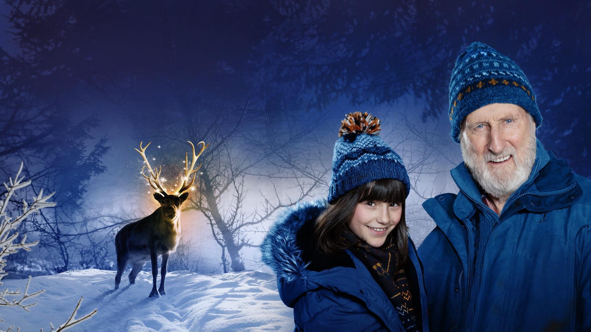 სანტას ირემი: საშობაო ზღაპარი / Prancer: A Christmas Tale