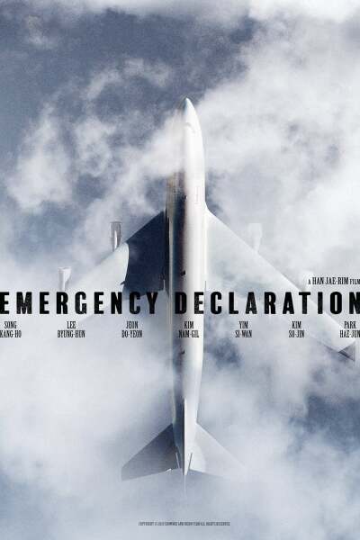 ავარიული დაშვება / Emergency Declaration