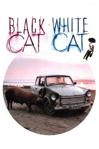 შავი კატა, თეთრი კატა / Black Cat, White Cat