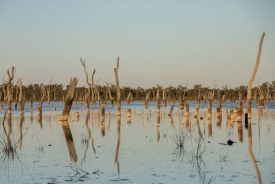 The Lake of Scars