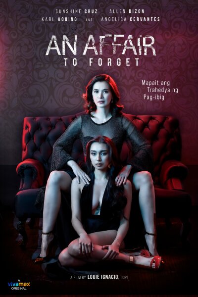 დასავიწყებელი რომანი / An Affair to Forget