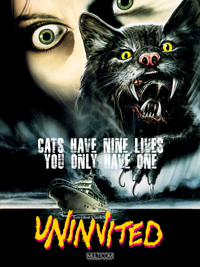 დაუპატიჟებელი / Uninvited