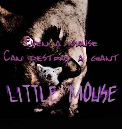 პატარა თაგვი / Little Mouse