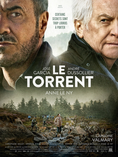 ნიაღვარი / Le torrent