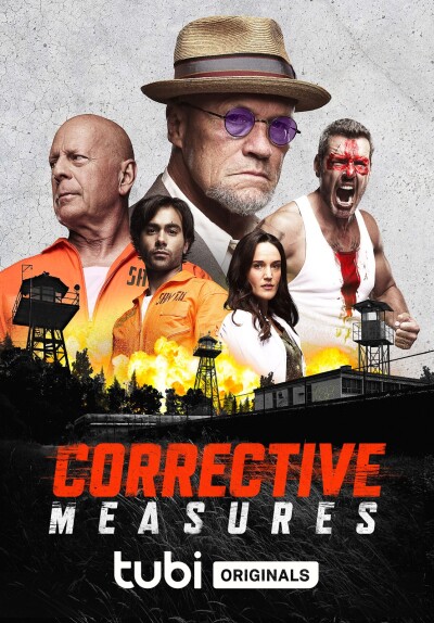კორექციის ზომები / Corrective Measures