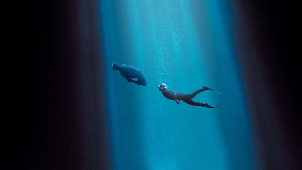 ბლუბეკი / Blueback