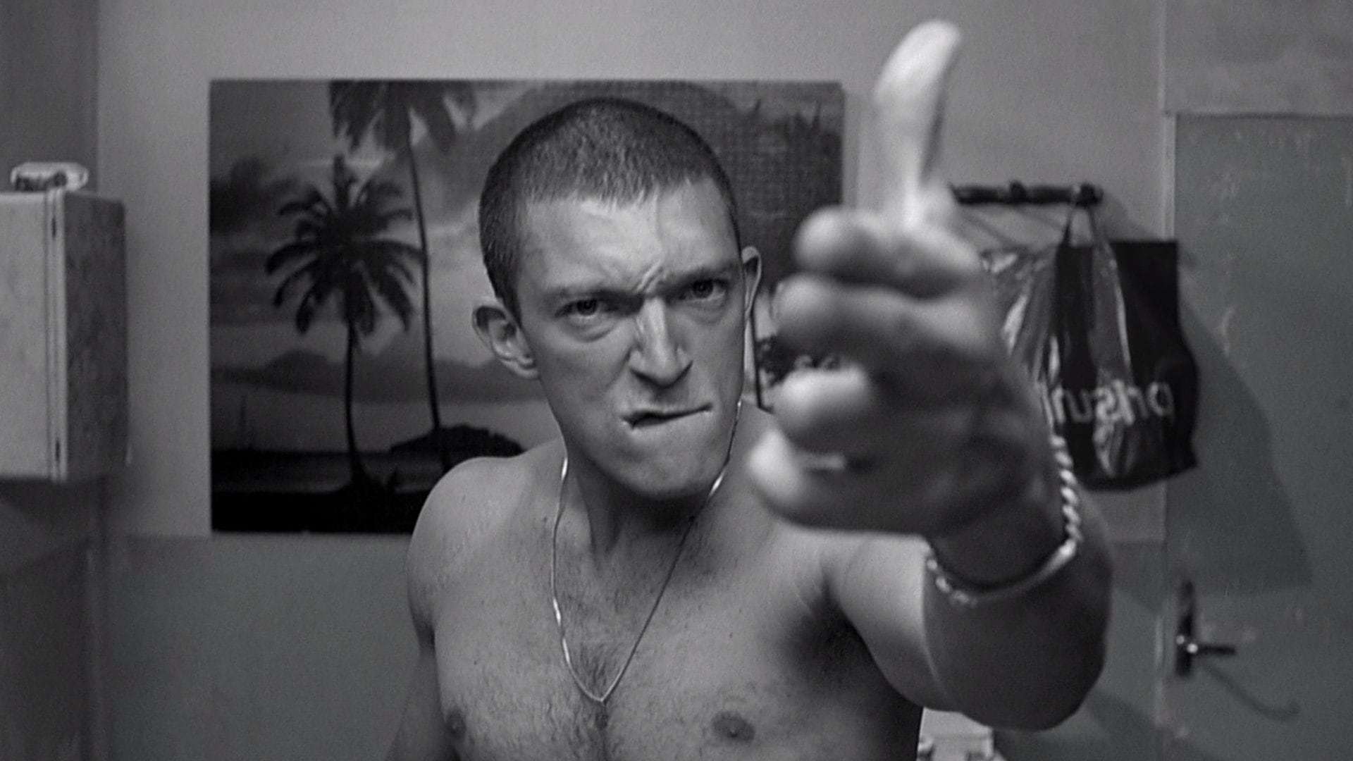 სიძულვილი / La Haine