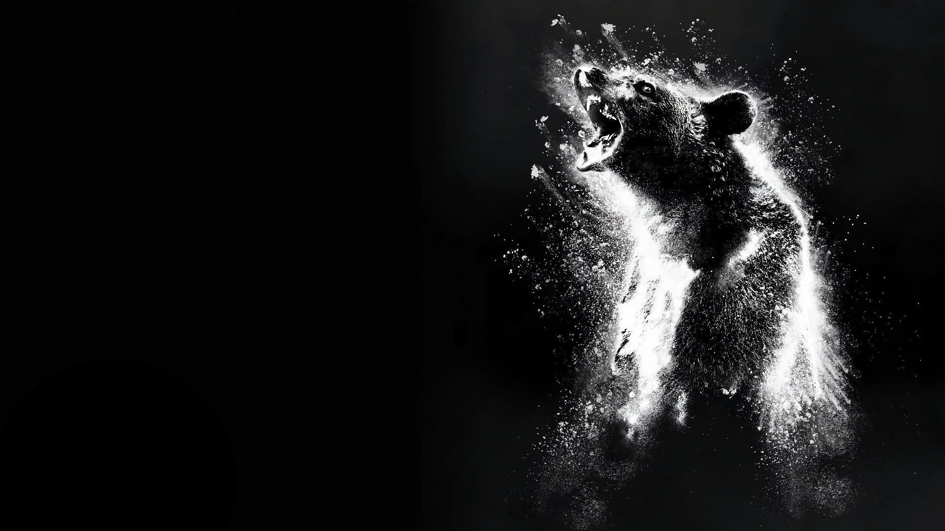 კოკაინის დათვი / Cocaine Bear