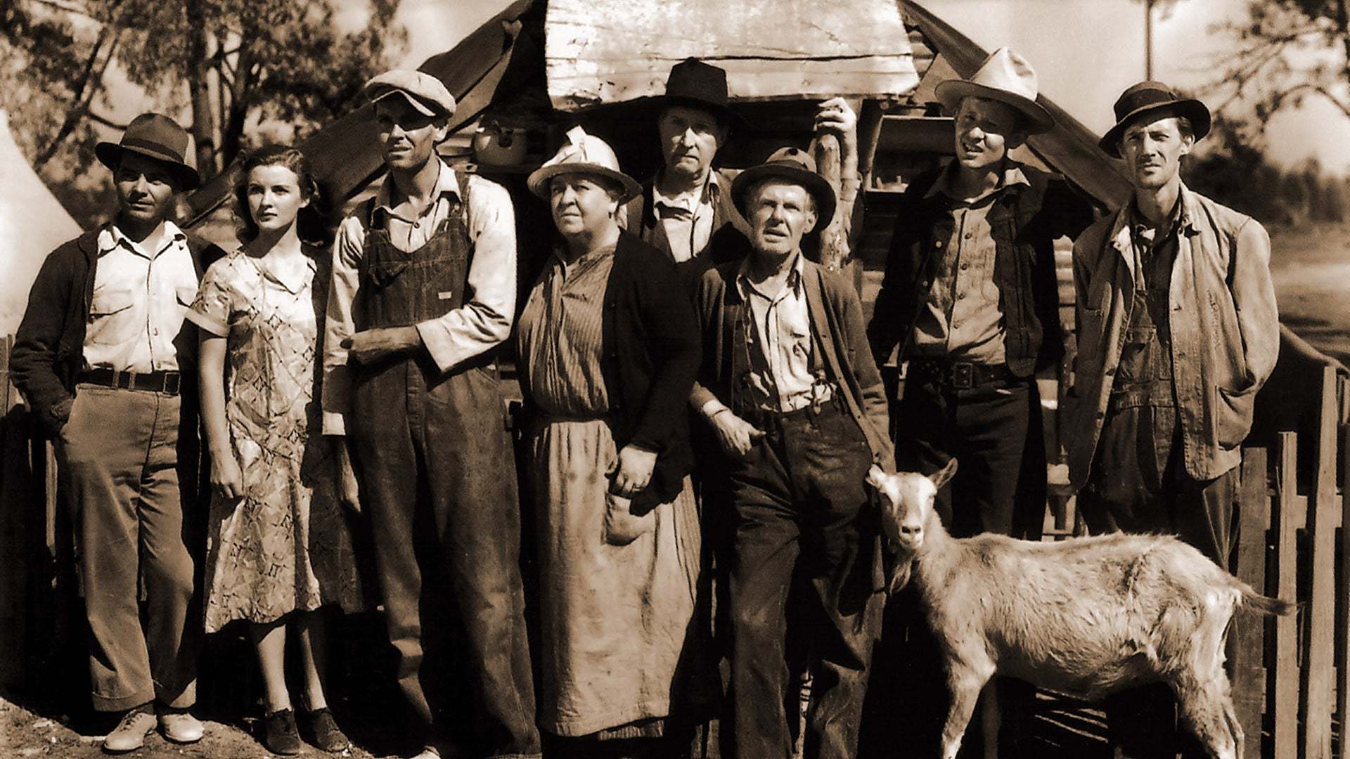 მრისხანების მტევნები / The Grapes of Wrath