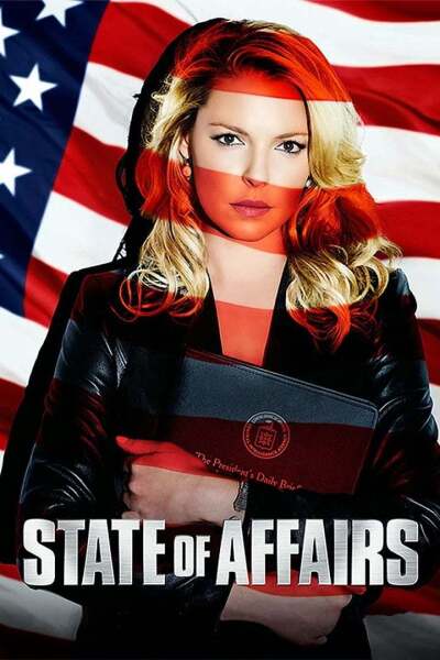 საქმის ვითარება / State of Affairs