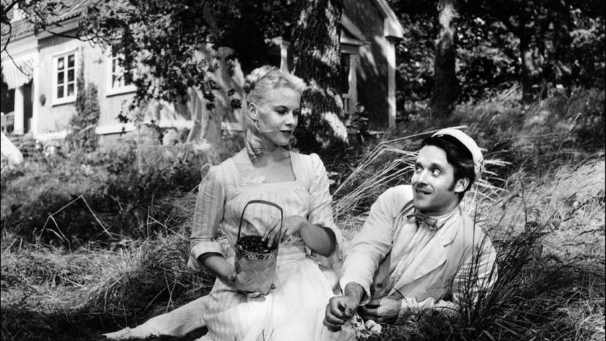 მარწყვის მდელო / Wild Strawberries