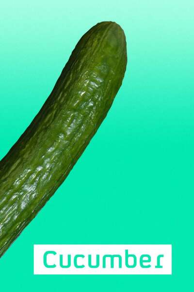 კიტრი / Cucumber