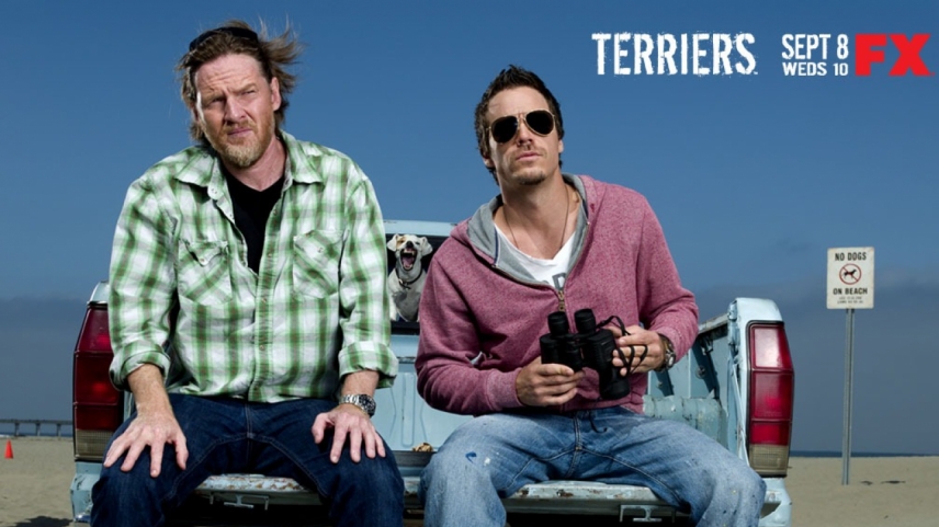 ტერიერები / Terriers